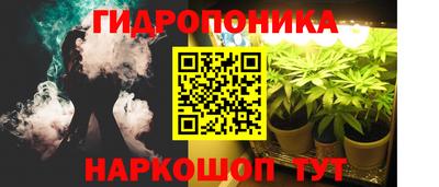 индика Донецк