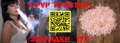 индика Донецк